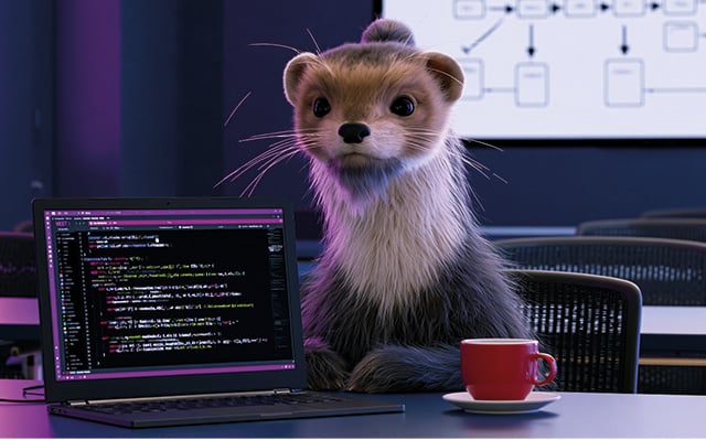 weasl Academy: Developer Training
