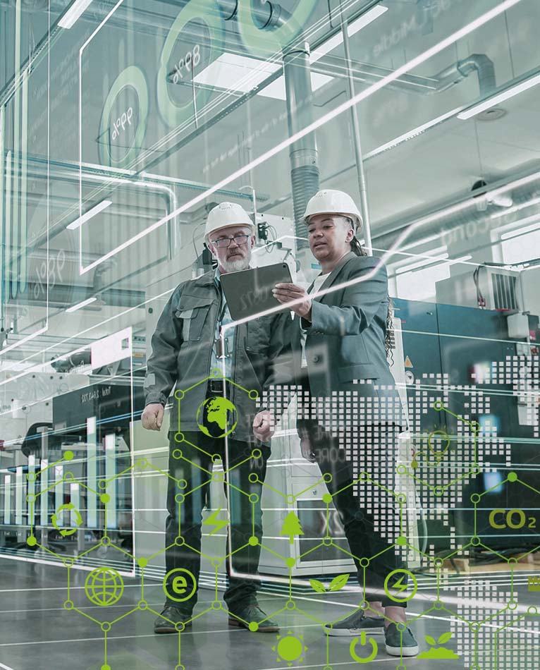 Ecological added values of weasl